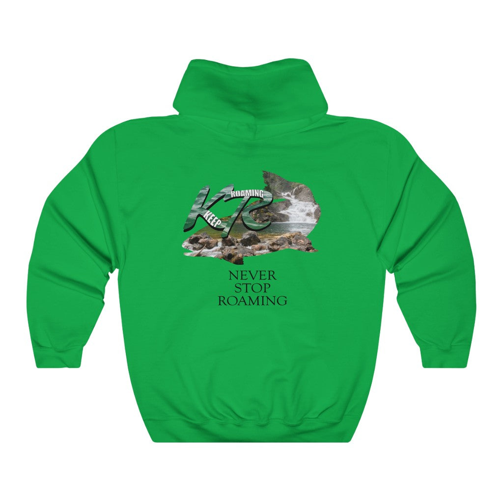 Unisex Heavy Blend™ Hooded Sweatshirt Glacier Trout