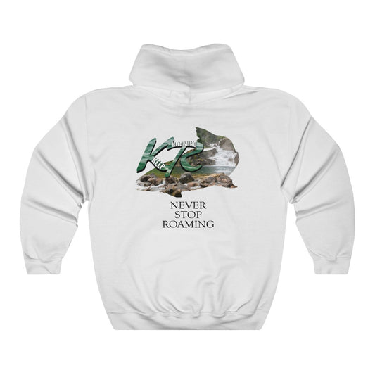 Unisex Heavy Blend™ Hooded Sweatshirt Glacier Trout