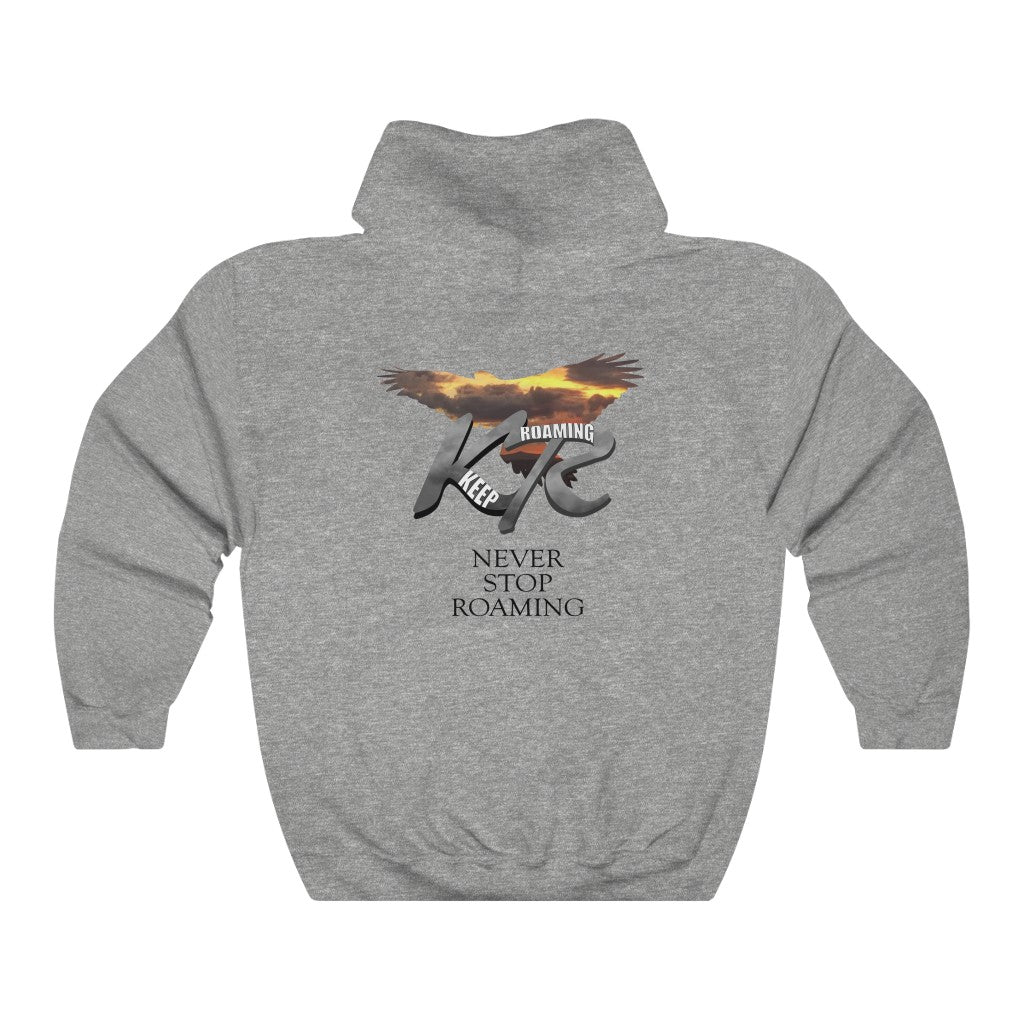 Unisex Heavy Blend™ Hooded Sweatshirt Sunset Falcon