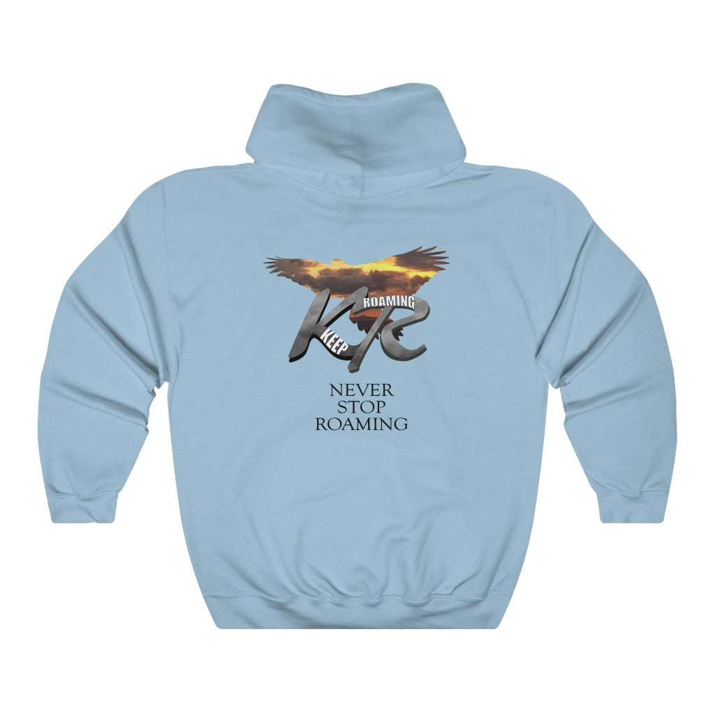 Unisex Heavy Blend™ Hooded Sweatshirt Sunset Falcon