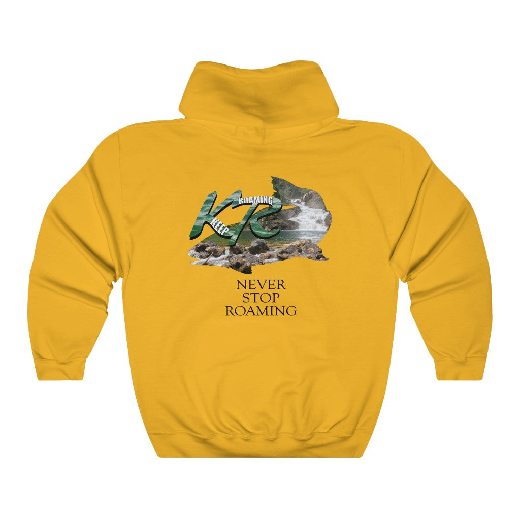 Unisex Heavy Blend™ Hooded Sweatshirt Glacier Trout